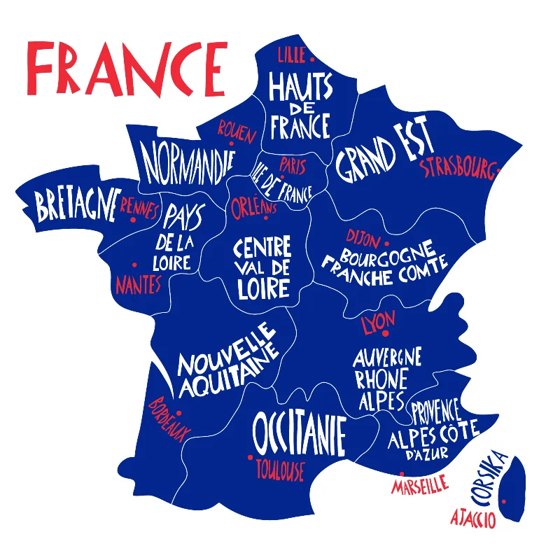 Aprender francés con Duolingo