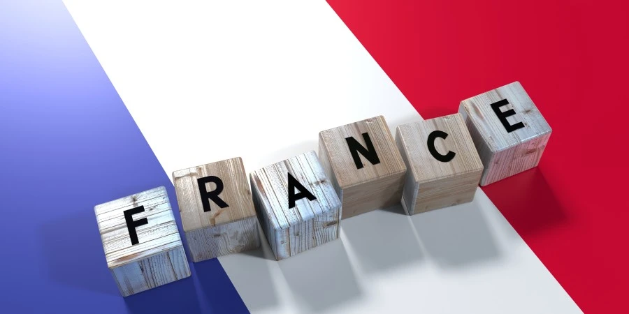 Duolingo Französisch lernen: Der komplette Guide für Anfänger und Fortgeschrittene