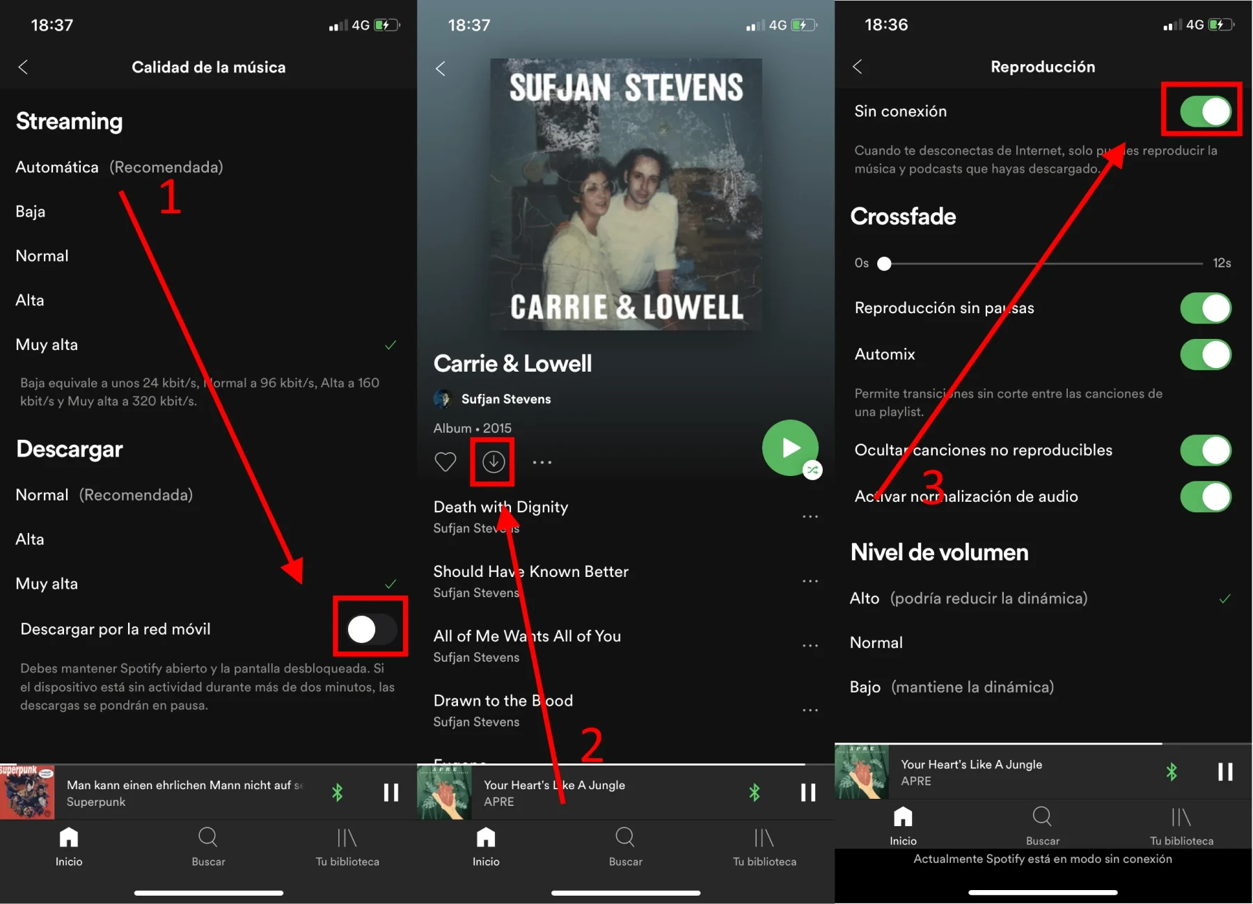 Guía para descargar música en Spotify